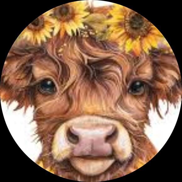curated_cow